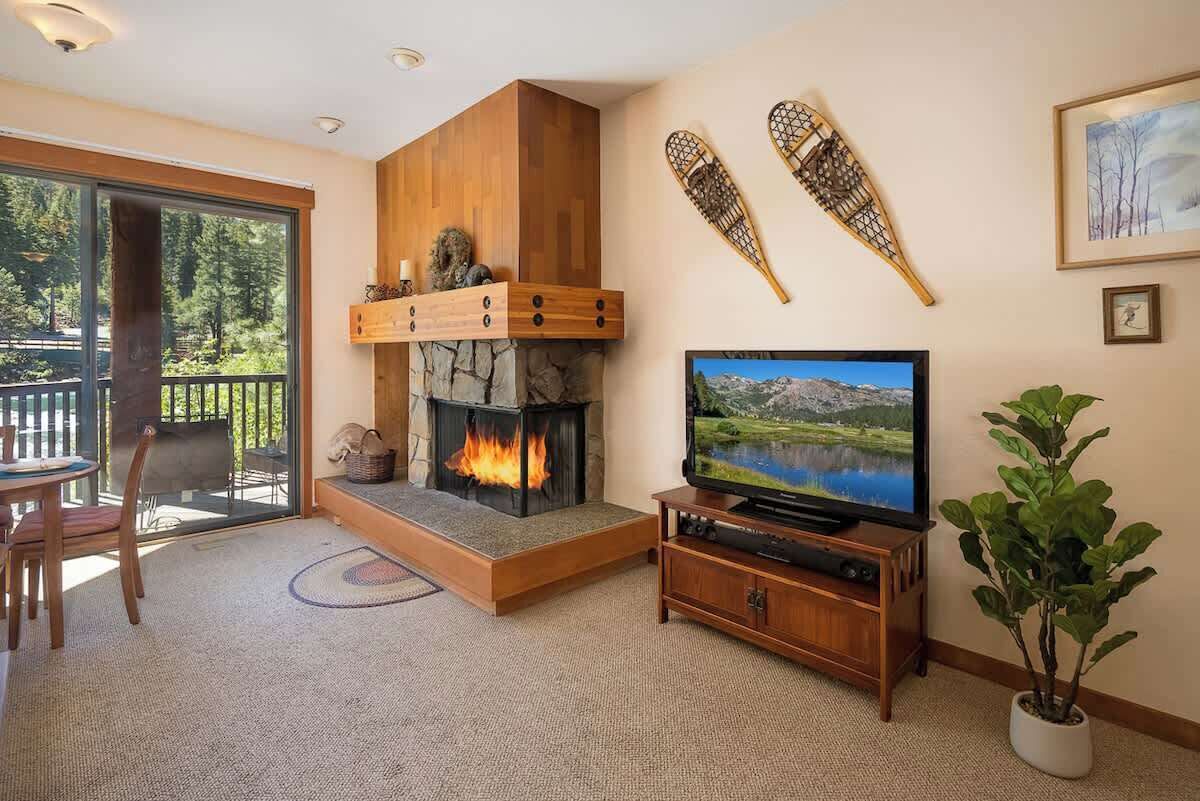 Smart TV, fireplace, DVD player, books