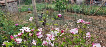 Château Les Poules - new bright modern and cosy loft