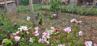 Château Les Poules - new bright modern and cosy loft