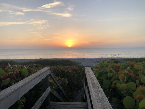 Beach nearby, sun-loungers, beach towels