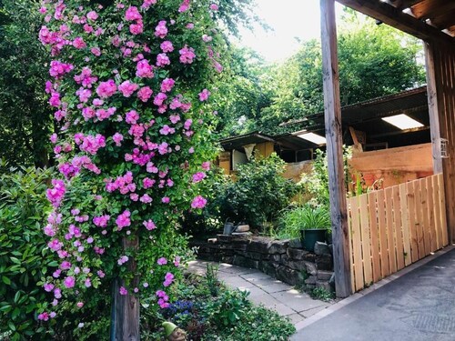 Gite du ried, hébergement au calme entouré de verdure.