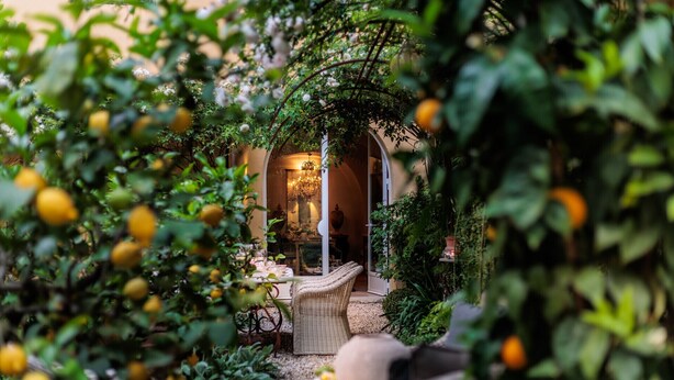 An outdoor seating area with wicker furniture, surrounded by greenery and citrus trees. - Luxury Apartment with Private Garden inside Lucca (Lucca)