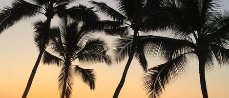 Liggestole, badehåndklæder