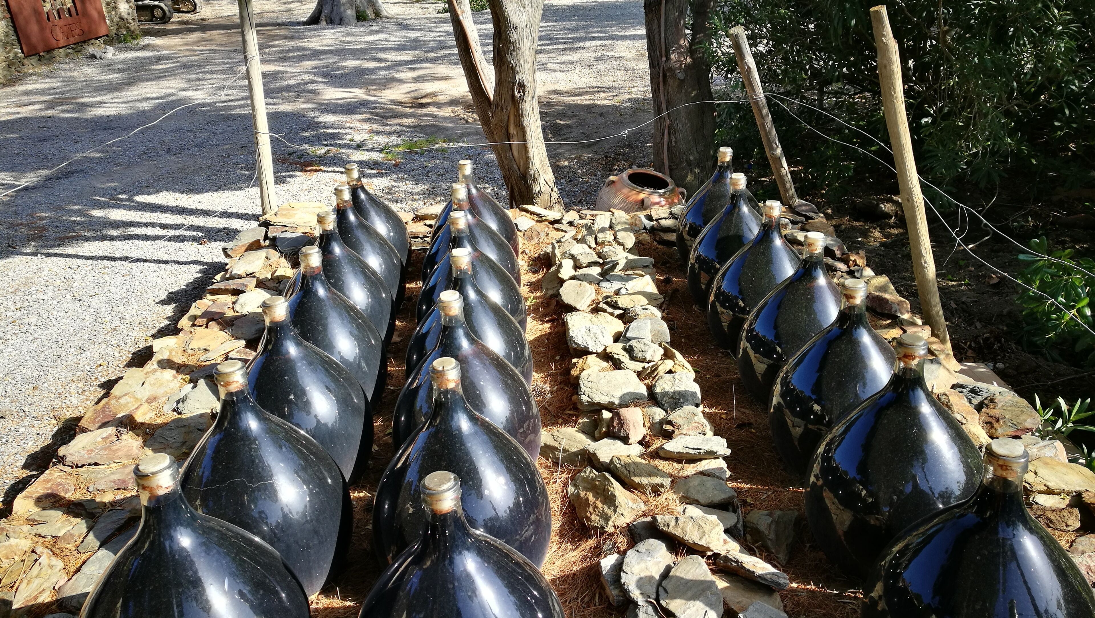 A row of large, black, bottle-shaped objects arranged in a line on a gravel path, surrounded by rocks and trees.
