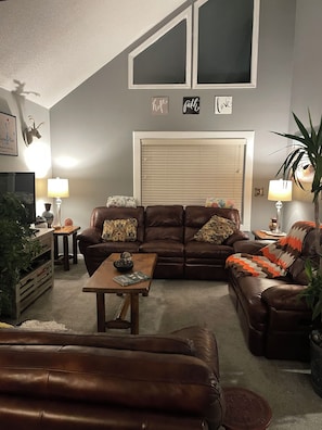 Smart TV, fireplace, DVD player, books