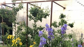 A garden with various flowers and a wooden bench. - Charming single-storey studio in a quiet location  (La Chapelle-Saint-Mesmin)