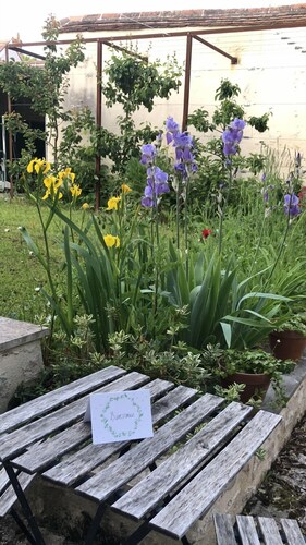 Charming single-storey studio in a quiet location 