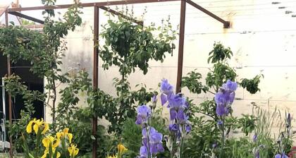 Charming single-storey studio in a quiet location