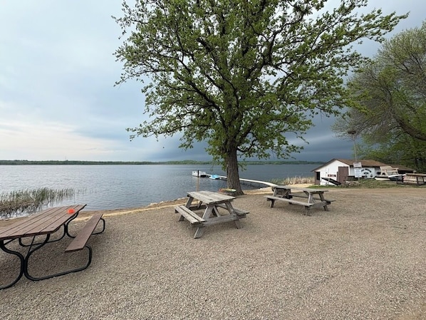 Ein Picknickplatz am Seeufer mit Holzbänken und Picknicktischen, ein großer Baum und ein kleines Gebäude im Hintergrund.