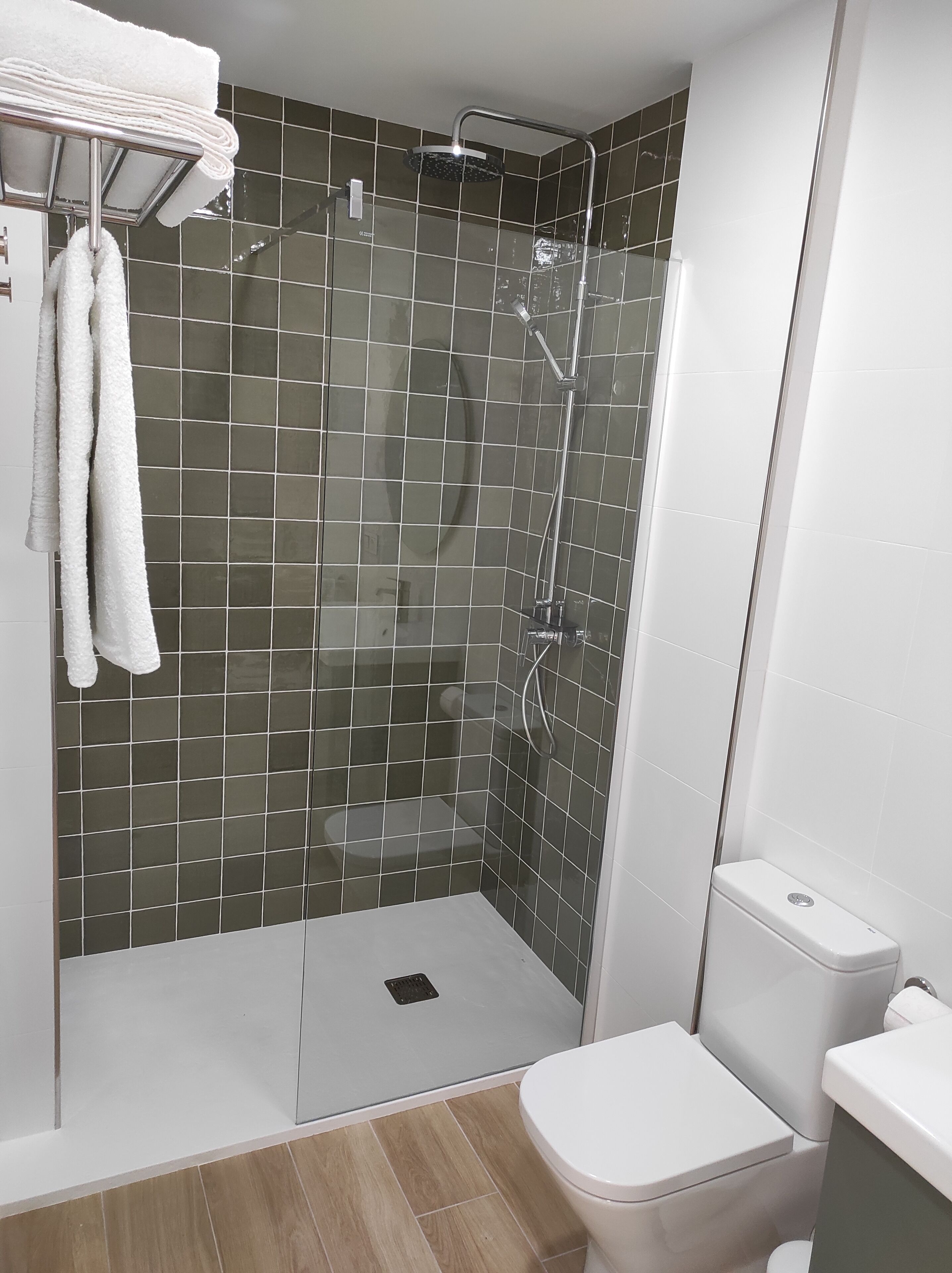 Shower, hair dryer, towels, toilet paper