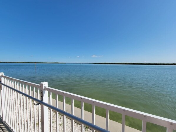 A waterfront view with a white railing and calm water. - Lovers Key Resort Suite 5 - Bay View (Bonita Springs)