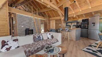 TV connectée, cheminée, livres