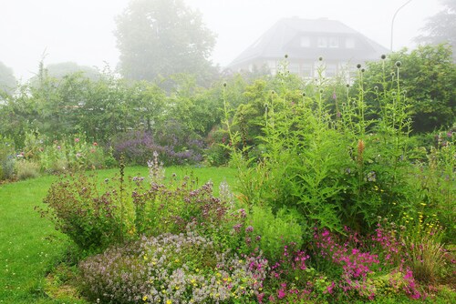 Großes Haus mit eigenem Garten im Natur Park Eifel Venn