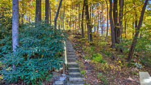 A stone staircase leading up a forested area with a wooden bench at the bottom.