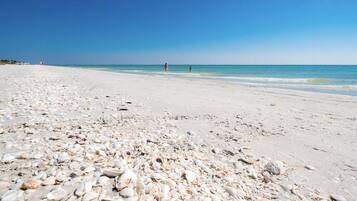 Plage, chaises longues, serviettes de plage
