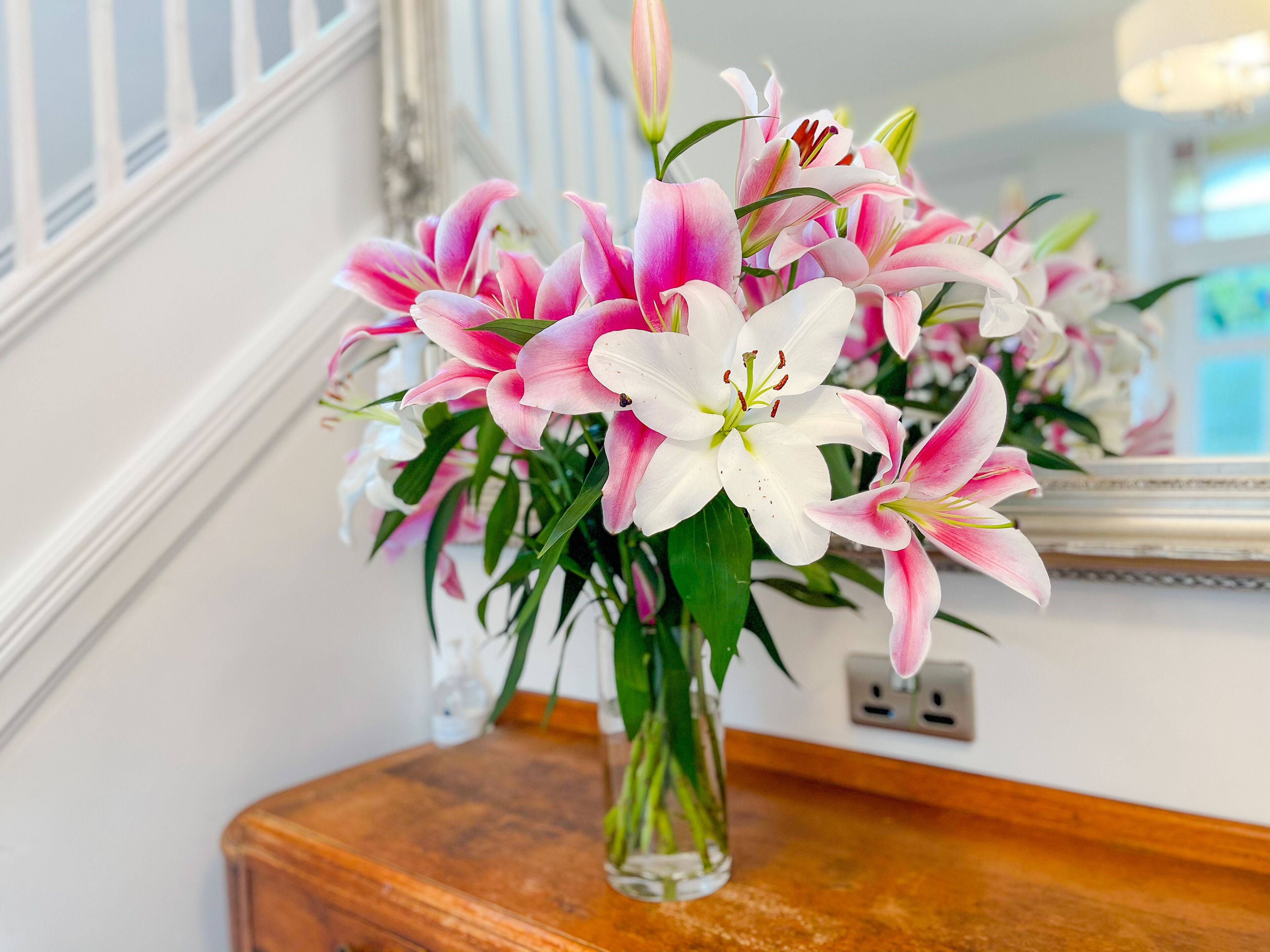 Foto - Ashfield Boutique Stays
