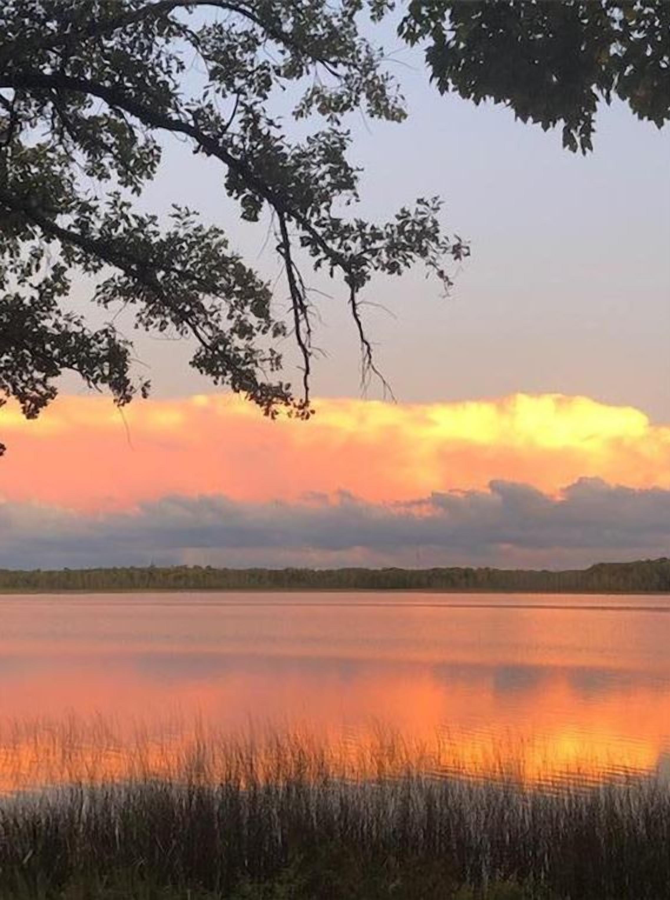 Un lago tranquilo con un atardecer, rodeado de árboles y vegetación.