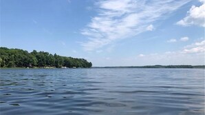 Un lago tranquilo con una orilla boscosa y cielo despejado.