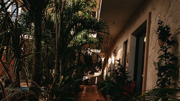 Jardin