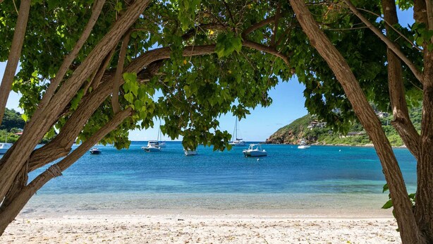 A beach with clear turquoise water, boats, and a tree-lined view.