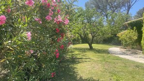 A garden with a variety of plants and trees, a paved path, and a grassy area. - Private villa with pool (Saint-Raphaël)