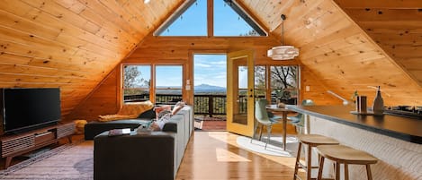 Smart TV, fireplace, video games, books