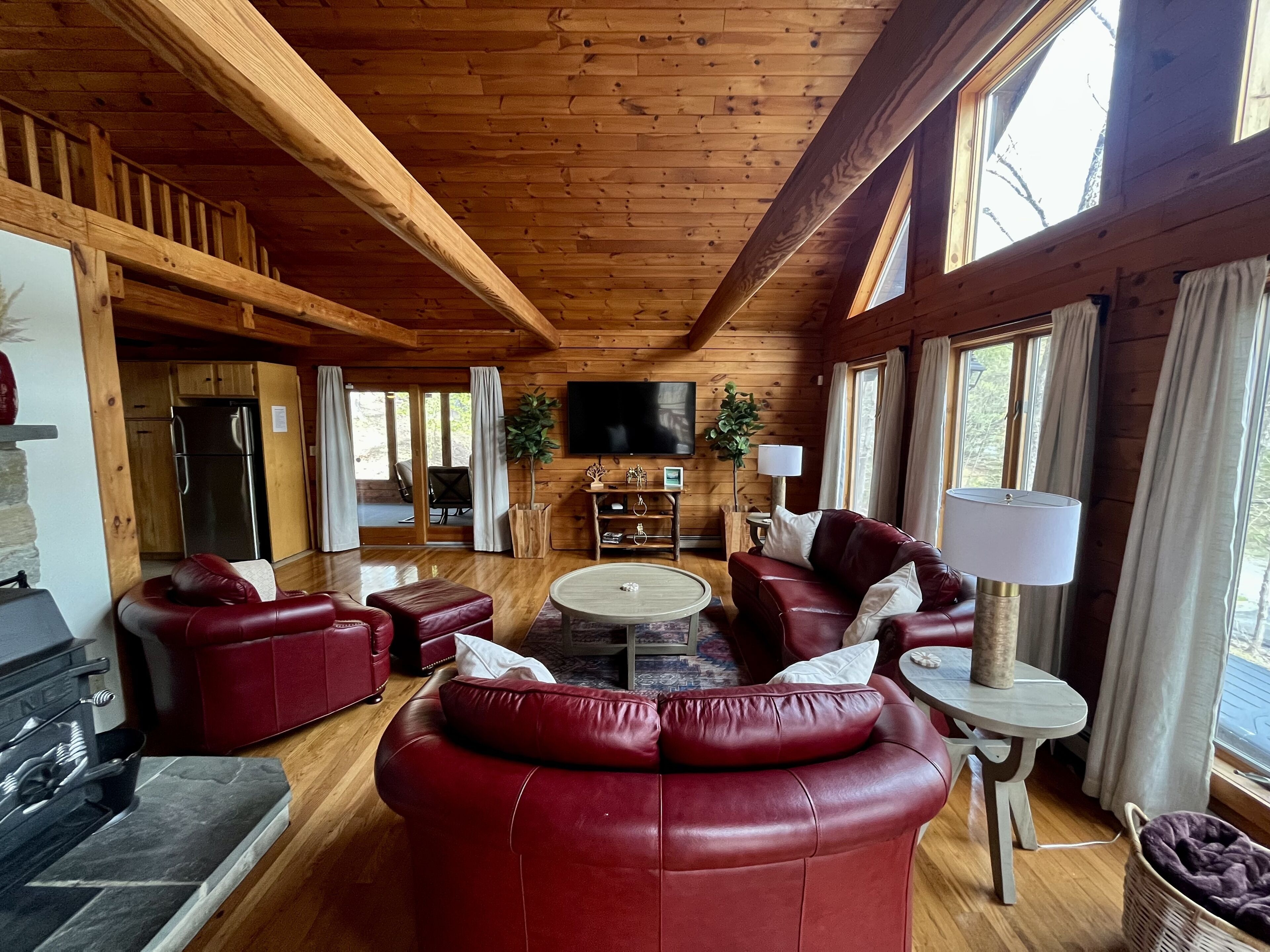 Smart TV, fireplace, video games, DVD player