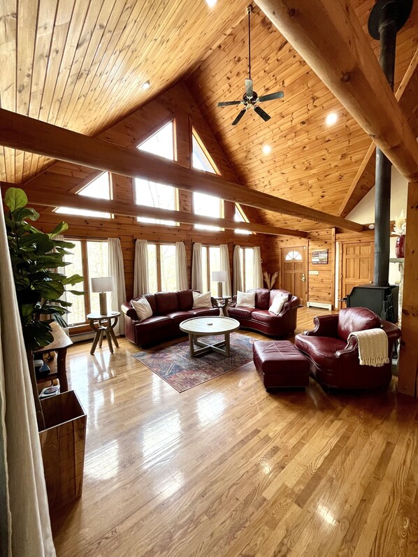 Smart TV, fireplace, video games, DVD player