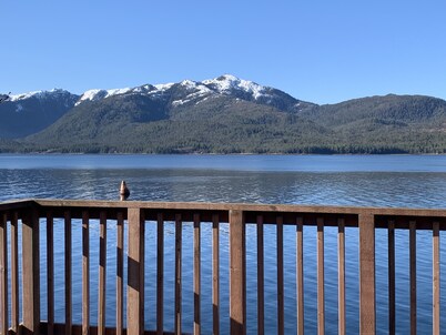 Private house connected to Potlatch Totem Park extreme ocean view. Premium Host

