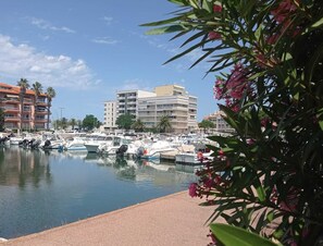 Uma marina com barcos atracados, cercada por edifícios altos e palmeiras.