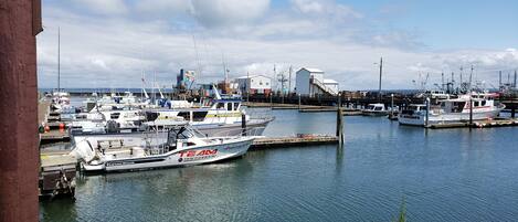 Jachthaven