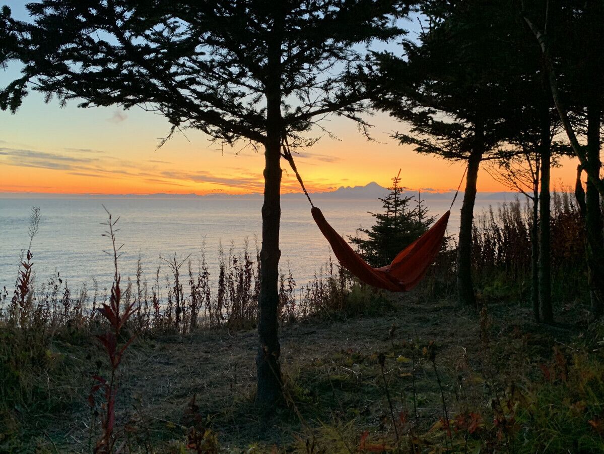 A hammock tied between trees overlooking a body of water at sunset.