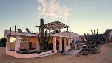 A modern house with a covered patio, a cactus, and a barbecue area.