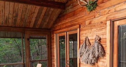Perched in the Trees, Very Private, Screened in Porch with view