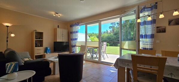 تلفزيون، ستيريو