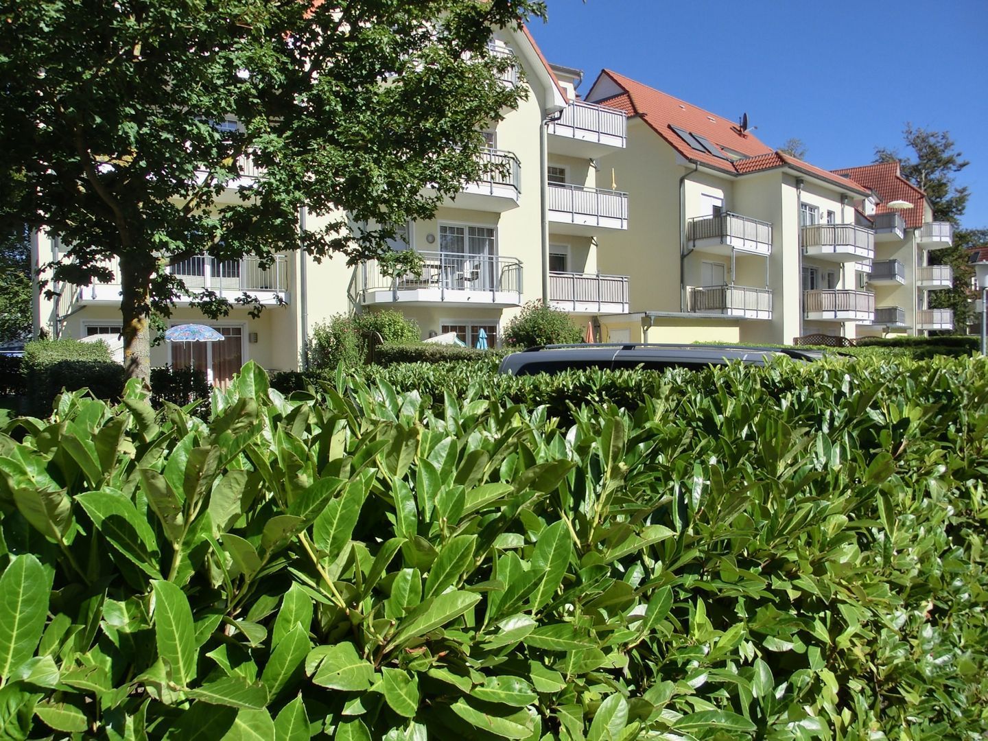 Eksteriør