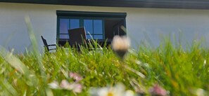 Property grounds - Vacation apartment FR9 "Luise" - 2-room apartment for a maximum of 4 people on the first floor (Graal-Müritz)