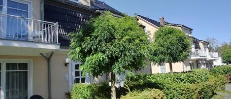 Una hilera de casas de dos pisos con balcones, un sendero pavimentado y abundante vegetación.