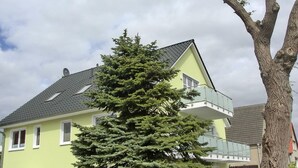 A two-story house with a green facade, a grey roof, and a large evergreen tree in front.