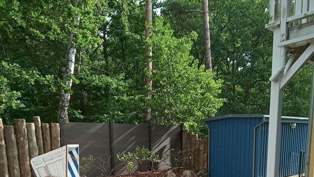 A backyard with a paved patio, a wooden fence, a blue shed, and a white pergola.