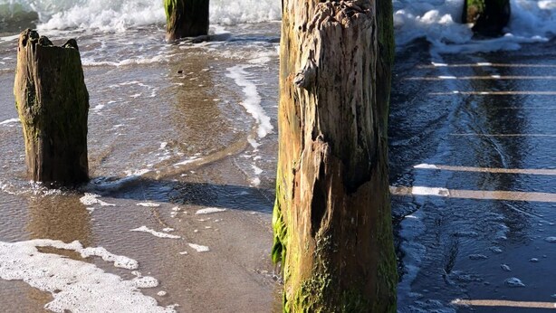 Une plage avec des poteaux en bois et des vagues.