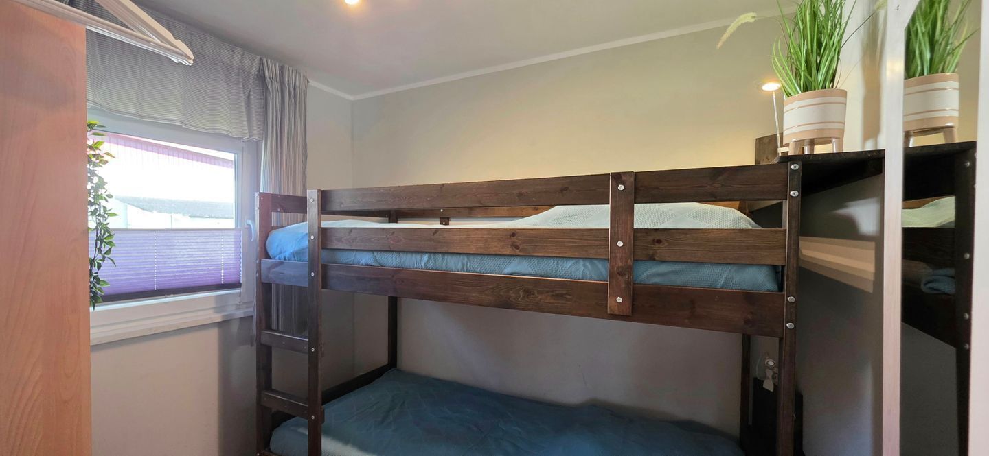 Una cama litera con escalera, una ventana con cortinas y plantas en macetas.