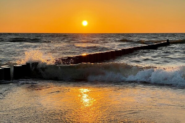 Imagen sin descripción, 1 de 14, botón
