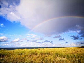 Nicht klassifiziertes Bild, 3 von 14, Schaltfläche