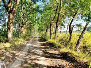 Unclassified image, 5 of 17, button