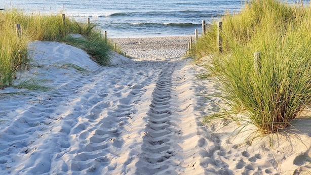 Un sentier de sable qui longe la plage et mène à l’océan, bordé d’herbe et de poteaux en bois.
