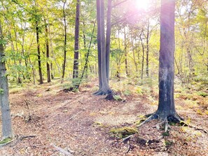 Unclassified image, 2 of 17, button