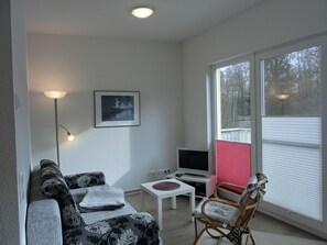 Fernseher, Stereoanlage