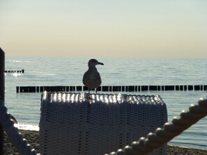 Nicht klassifiziertes Bild, 2 von 13, Schaltfläche