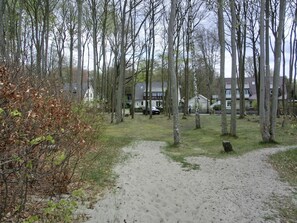 Un sentier sablonneux qui mène à une rangée de maisons, avec une forêt en arrière-plan.